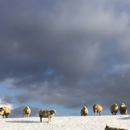 アパート Tief 10 Robbe 407 *