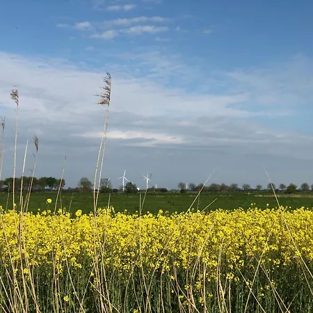 Tief 10 Robbe 407 * Шиллиг