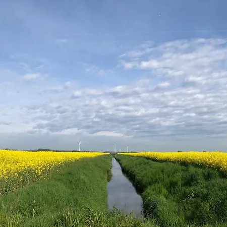 Tief 10 Robbe 407 Апартаменты Шиллиг