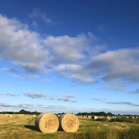 Tief 10 Robbe 407 Апартаменты *