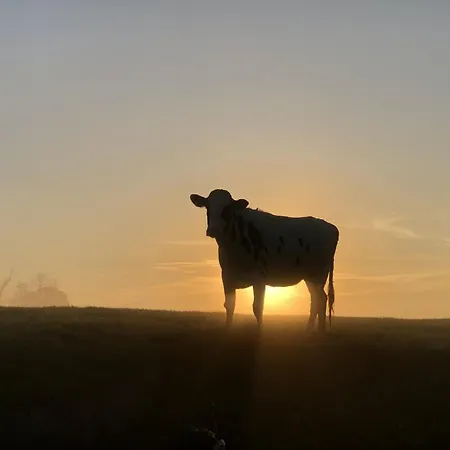 Апартаменты Tief 10 Robbe 407 *