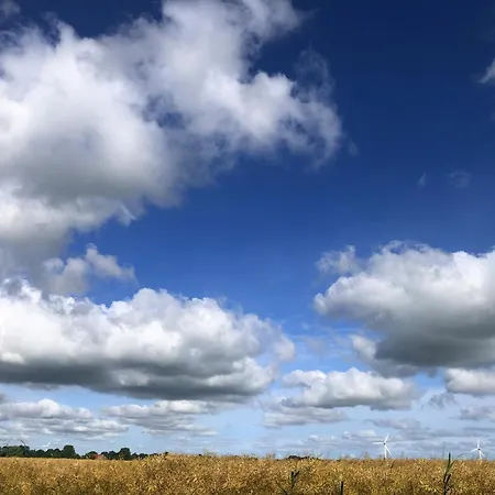 Tief 10 Robbe 407 * Шиллиг