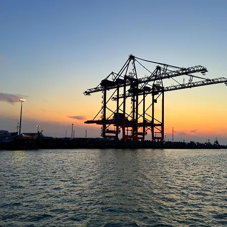 Tief 10 Robbe 407 Шиллиг