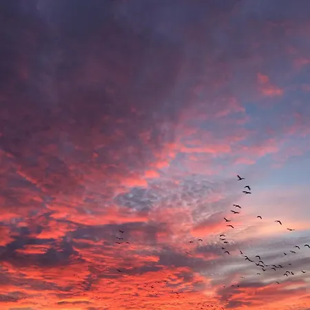 Апартаменты Tief 10 Robbe 407 Шиллиг