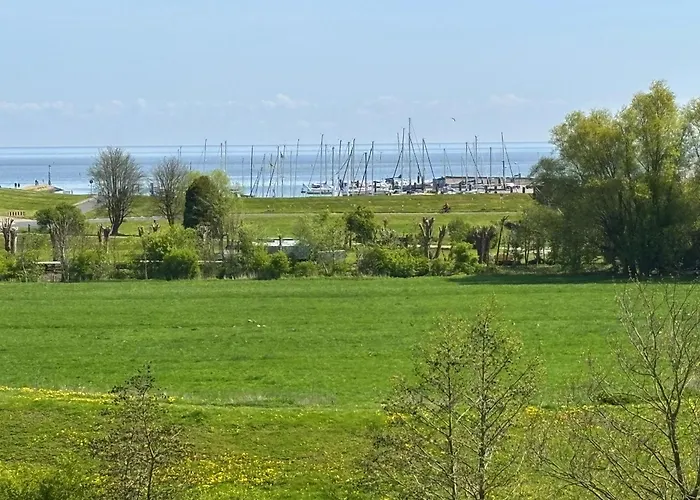 Tief 10 Robbe 407 Daire Schillig