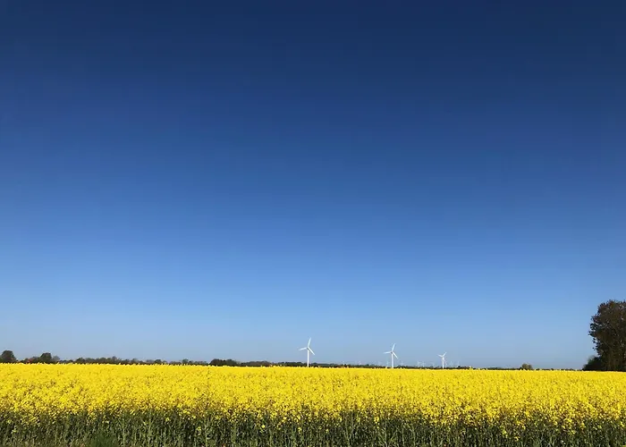 Tief 10 Robbe 407 * Schillig