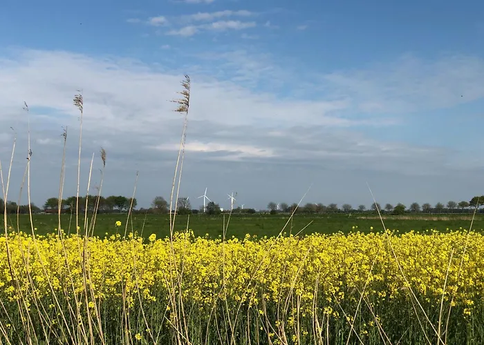 Tief 10 Robbe 407 * Schillig