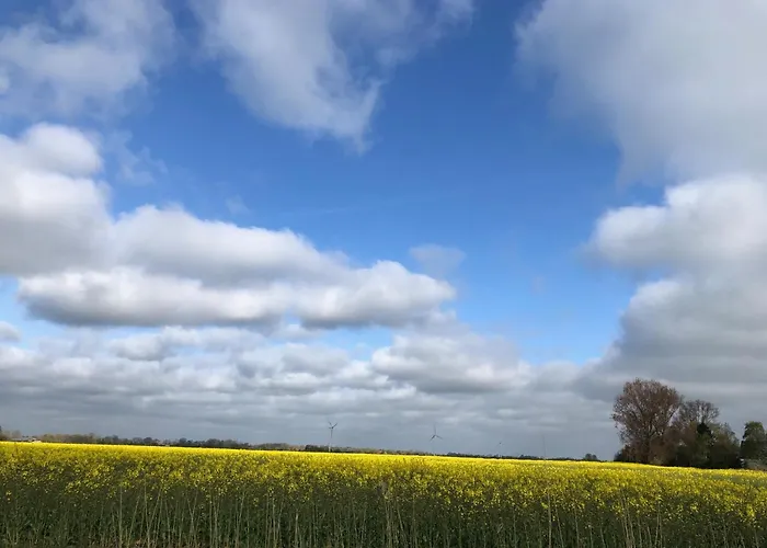 Daire Tief 10 Robbe 407 Schillig