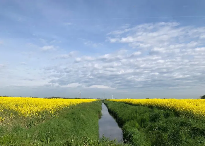 Tief 10 Robbe 407 Daire Schillig