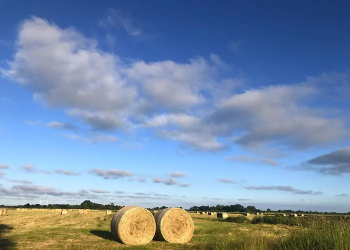 Tief 10 Robbe 407 Daire *