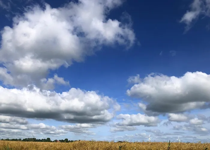 Tief 10 Robbe 407 * Schillig