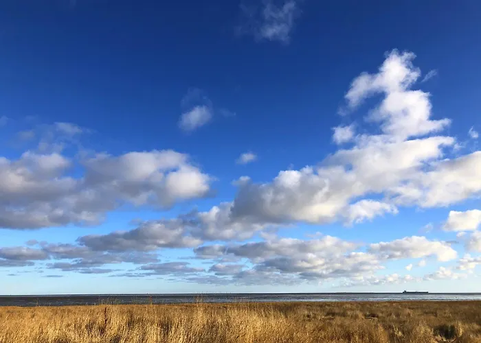 Daire Tief 10 Robbe 407 *